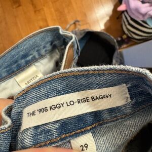 Aritzia '90s Iggy Lo-Rise Baggy Jeans in Blue